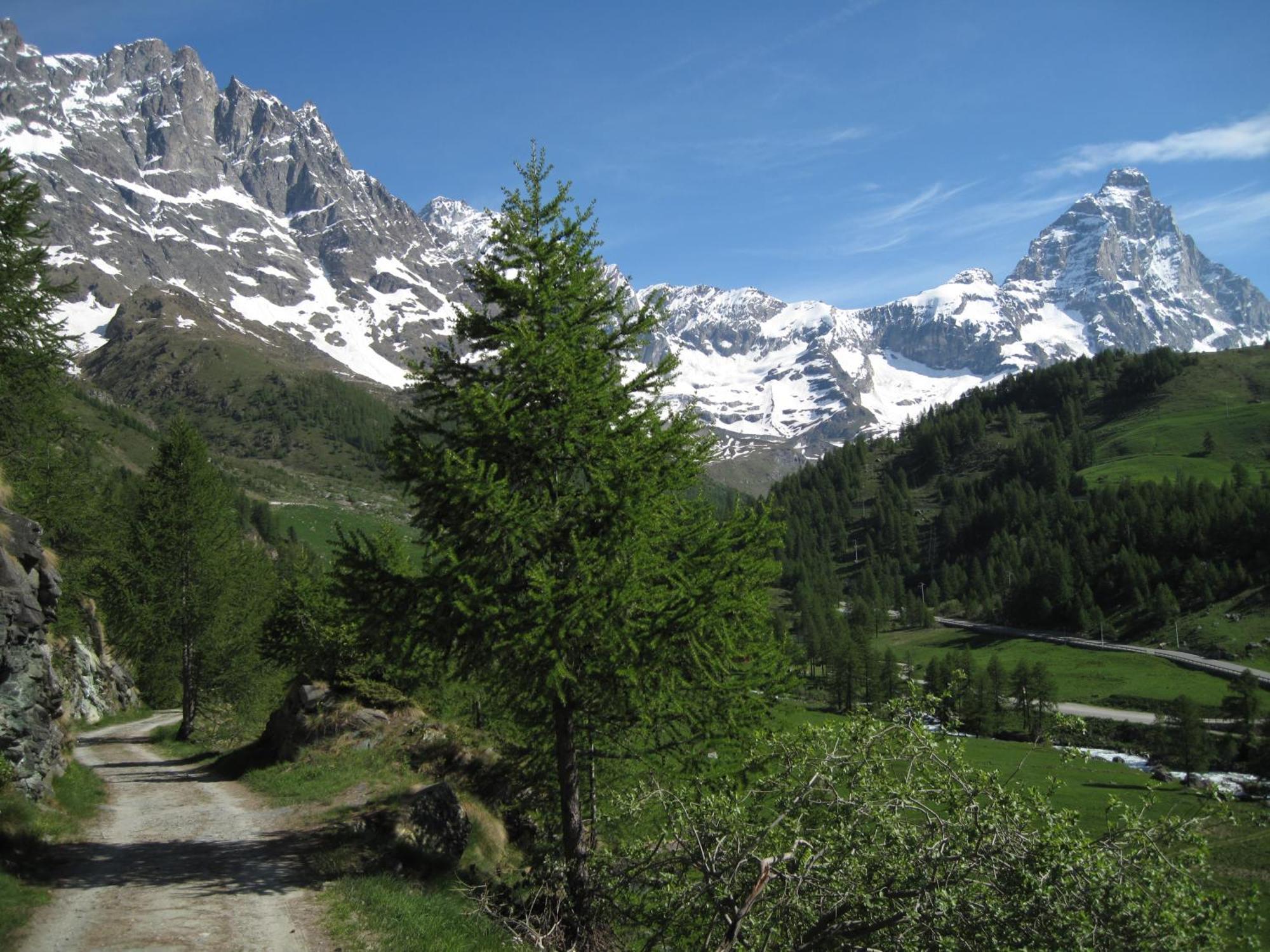 Hotel Meuble Meridiana Valtournenche Exterior foto
